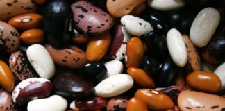 Governo manda recolher lotes de feijão impróprios para consumo