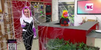 Ana Maria Braga surpreende com fantasia de Spider-Gwen em programa e agita as redes sociais