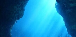 A Pequena Sereia: Uma moderna e encantadora adaptação live-action