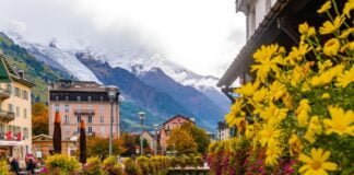 Áreas verdes estão associadas a menos internações hospitalares por doenças respiratórias, revela estudo