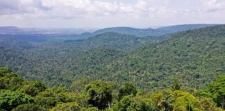 Lula quer política unificada para a região amazônica