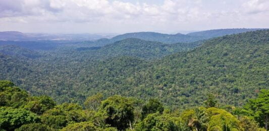 Investimentos de R$ 815 milhões reduzem queimadas em municípios prioritários da Amazônia