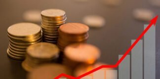 Brasil destinará até 60% dos recursos de títulos soberanos sustentáveis a projetos ambientais