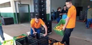 Anvisa inicia novo ciclo de análise de resíduos de agrotóxicos em alimentos