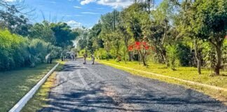 Vias do Park Way recebem 32 toneladas de massa asfáltica