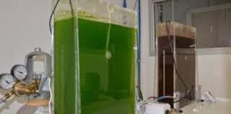 Petrobras ampliará capacidade de produção de diesel renovável