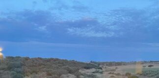 Giovanna Antonelli surpreende fãs ao compartilhar fotos nua na banheira