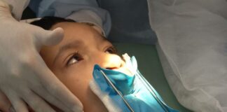 Genética e inflamação na gravidez explicam lábio leporino