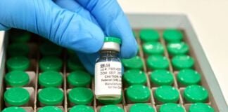 Vacina contra esquistossomose estará disponível no SUS em 2025