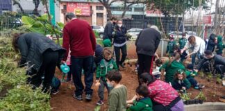 Alimentação escolar: projetos brasileiros são exemplo de boas práticas