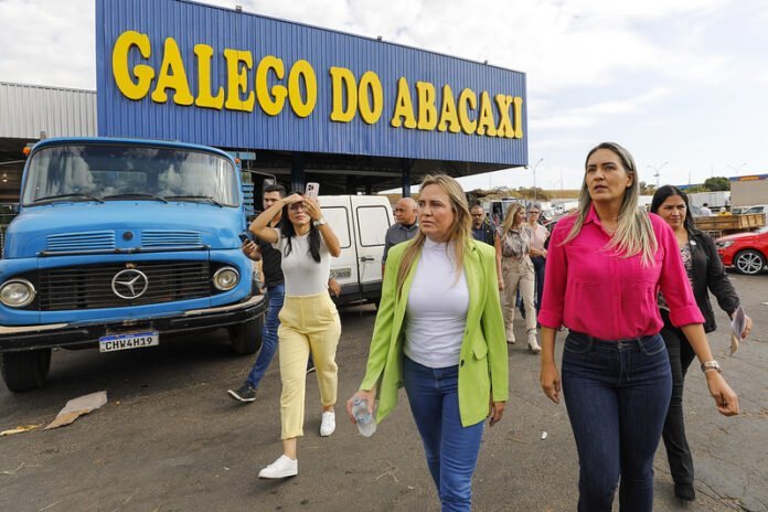Ceasa-DF terá novas instalações elétricas e site para vendas on-line brasilia