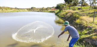 Plano distrital cria medidas de proteção para produção de peixes do DF
