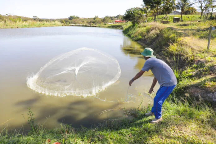 Plano distrital cria medidas de proteção para produção de peixes do DF brasilia
