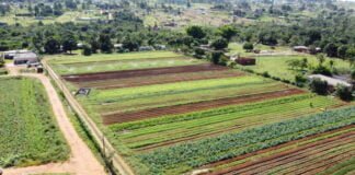 Agricultura: investimento de R$ 2,6 milhões em maquinários rurais