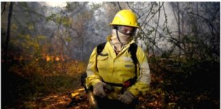 Sai resultado final da seleção de brigadistas