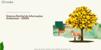 Ciclo Avançado de Capacitação do SISDIA oferece treinamento especializado