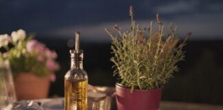 Azeite brasileiro ganha destaque com aumento de preços no mercado internacional