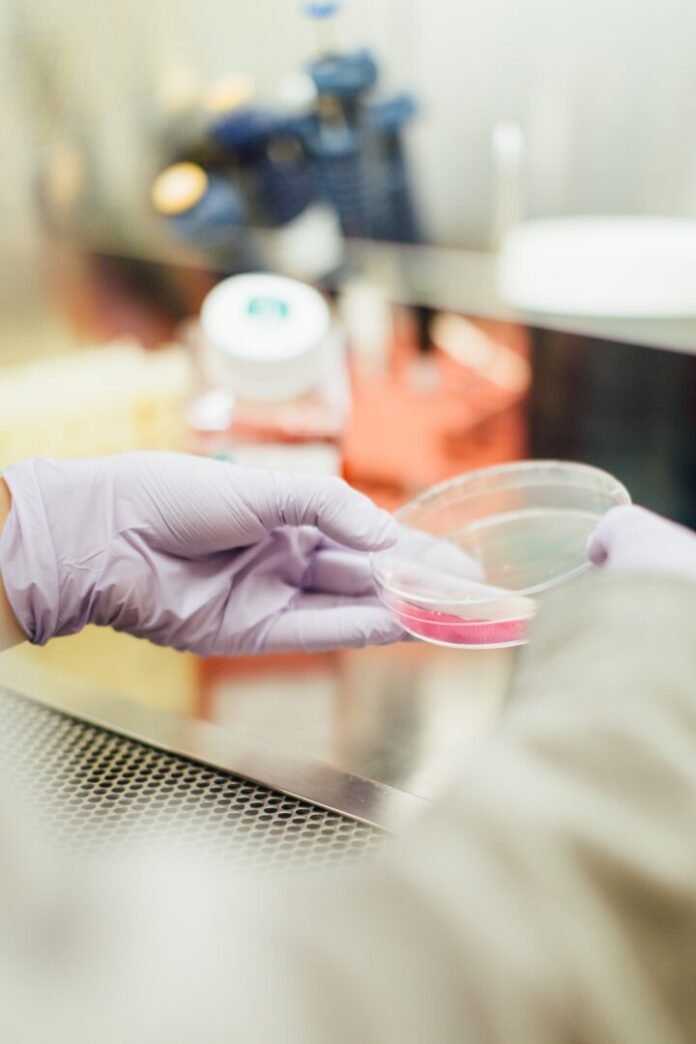 45 anos após o primeiro "bebê de proveta", avanços na medicina reprodutiva transformam a concepção e a formação familiar saude