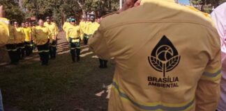 CBMDF envia equipe para combater incêndios no Pantanal Sul-Mato-Grossense