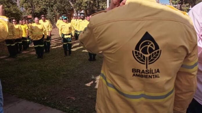 Divulgado resultado final de processo seletivo de brigadistas florestais brasilia
