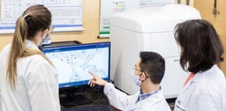 Reino Unido Aprova Uso de CRISPR em Tratamento Inovador para Doenças Genéticas