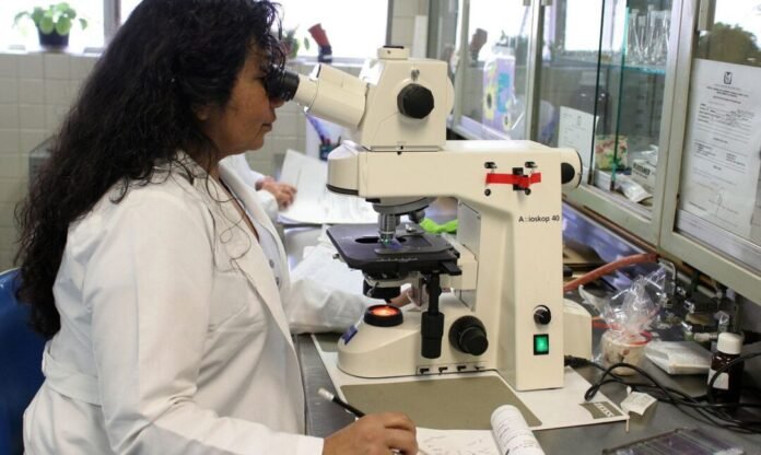 Relatório da ONU revela que liberdade e igualdade de oportunidades para mulheres ainda são limitadas no mundo saude mundo