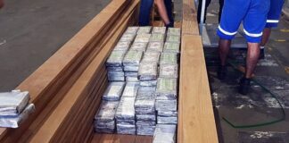 Operação Woodpecker desmantela grupo suspeito de tráfico internacional de drogas