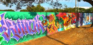 Guará ganha painel com grafite no Complexo do Cave