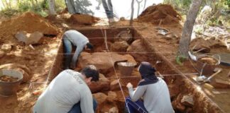 Pesquisadores Brasileiros dominam técnica de sequenciamento de DNA antigo