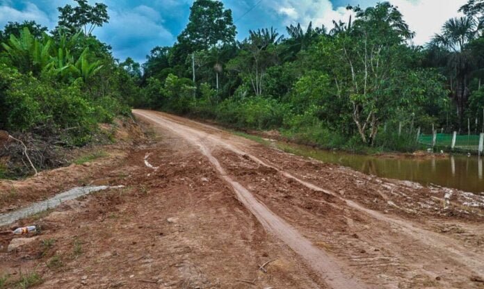 Crescimento Alarmante de Ramais na Floresta Amazônica Levanta Preocupações Ambientais mundo