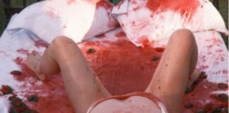 Luísa Sonza lança novo clipe ‘Campo de Morango’ e enfrenta críticas dos internautas