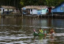 Governo lança programa para reforçar combate ao crime organizado na Amazônia Legal