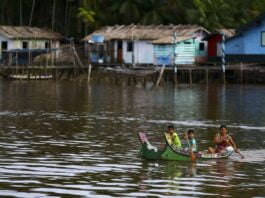 Governo lança programa para reforçar combate ao crime organizado na Amazônia Legal