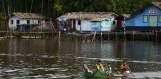 Cúpula da Amazônia busca viabilizar atividades sustentáveis com participação indígena