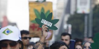 Legalização da maconha no Uruguai completa 10 anos sob efeitos ambíguos