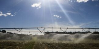 Pesquisa brasiliense de agricultura urbana é destaque na Tailândia