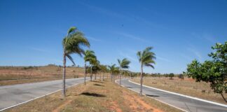 Residencial dos Jacarandás tem mais 76 lotes para licitação este mês