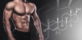 A Importância da Testosterona na Saúde Masculina: Entenda seus Efeitos e Como Aumentá-la Naturalmente