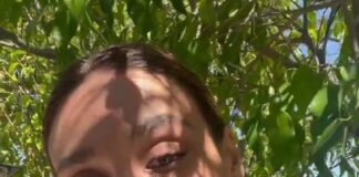 Débora Nascimento Abre o Jogo Sobre Separação com José Loreto e Polêmica “Surubão de Noronha”