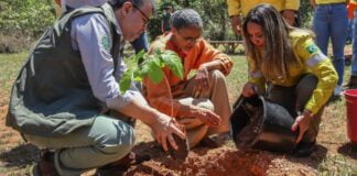Marina Silva Alerta Sobre Uso de Licenças Ambientais para Especulação no Matopiba