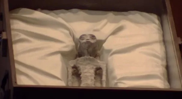 Restos Mumificados de Supostos Seres Extraterrestres Exibidos na Câmara dos Deputados do México tecnologia