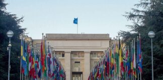 Brasil assume presidência do Conselho de Segurança da ONU para promover prevenção e mediação de conflitos