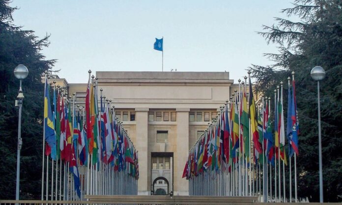 Brasil assume presidência do Conselho de Segurança da ONU para promover prevenção e mediação de conflitos politica