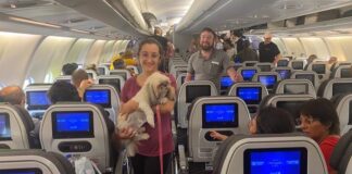 Segunda aeronave com brasileiros decola de Israel com 214 brasileiros, um cachorro e três gatos