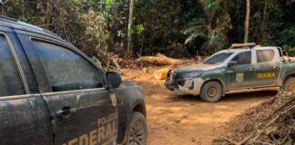 Ibama estabelece diretrizes para ações de fiscalização e manejo ambiental em 2024