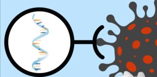 Pesquisa da USP revela presença do SARS-CoV-2 em espermatozóides até 110 dias após infecção