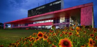 Outubro Rosa: DF triplica exames e reduz fila para mamografia em 80%