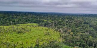 Número de conflitos no campo em 2023 é o segundo maior da última década, revela CPT