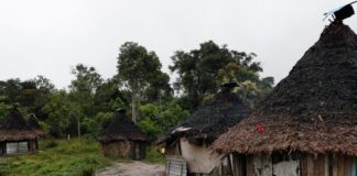 Delegação da Corte Interamericana de Direitos Humanos Inicia Missão Oficial no Brasil
