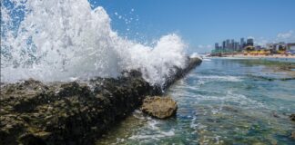 Recifes de corais do Nordeste: Barreiras naturais e patrimônio em risco